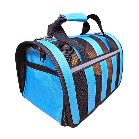 Pet Carrier, Blue Stripe - Picture 1 of 7
